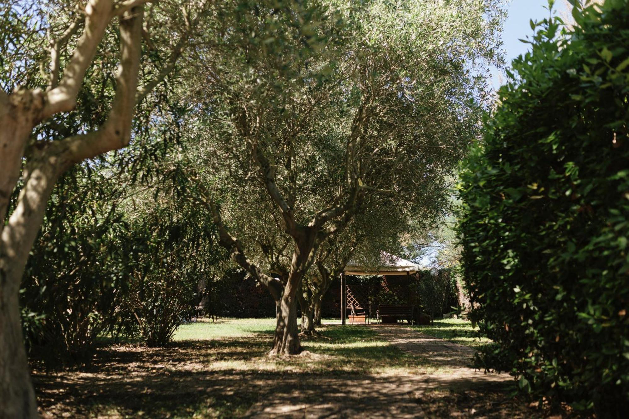 Villa Chiara Porto Recanati Dış mekan fotoğraf